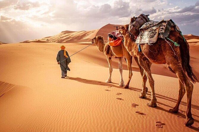 Morocco Desert Tour Private 4-Days from Marrakech to Merzouga - Who Is This Tour Best Suited For?