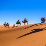 Morocco desert tours from Marrakech 3 days - Who Would Love This Tour?