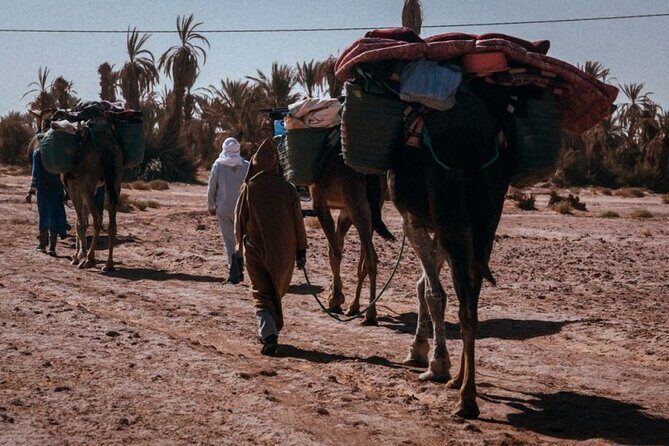 Morocco Desert Trek 4 Days: 2 days on foot in Morocco - Practical Tips for Future Travelers