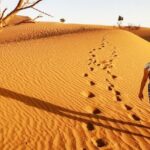 Morocco desert trek dromedary Mhamid dunes - Final Thoughts