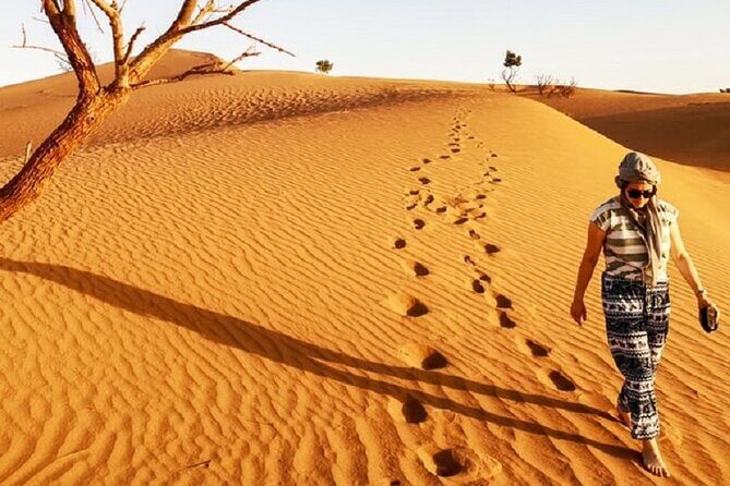 Morocco desert trek dromedary Mhamid dunes - Final Thoughts