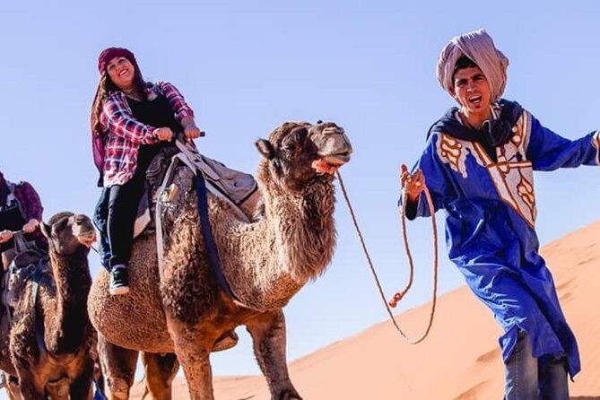 Morocco Fes Desert Tour - Practical Details and Value