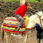 Morocco Hot Air Balloon Ride: Best way to explore the free space - The Experience in Focus: What Travelers Love