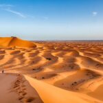 Morocco Top Trips: Luxury 10-Day Private Tour in Morocco - Why This Tour Offers Great Value