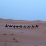 Morocco Tours 10 Days from Casablanca : Imperial Cities & Sahara Desert - Practical Insights into the Tour