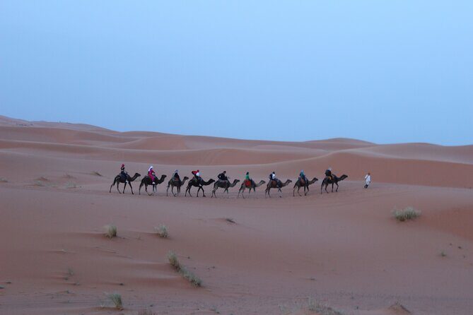 Morocco Tours 10 Days from Casablanca : Imperial Cities & Sahara Desert - Practical Insights into the Tour