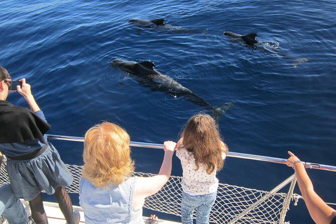 Most Famous Catamaran in Tenerife Island (2 hours and 3 hours tours) - Detailed Breakdown of the Itinerary