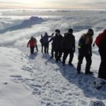Mount Kilimanjaro 7 Days - Machame Route - The Experience: What Travelers Say