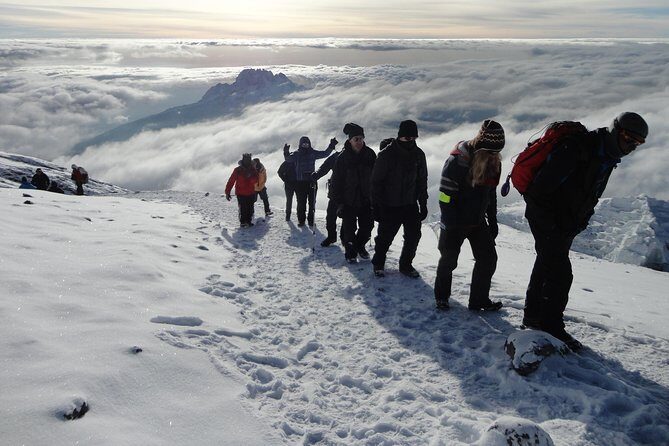 Mount Kilimanjaro 7 Days - Machame Route - The Experience: What Travelers Say