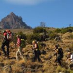 Mount Kilimanjaro Climb - Marangu Route 6 Days - The Marangu Route: What to Expect from Start to Summit