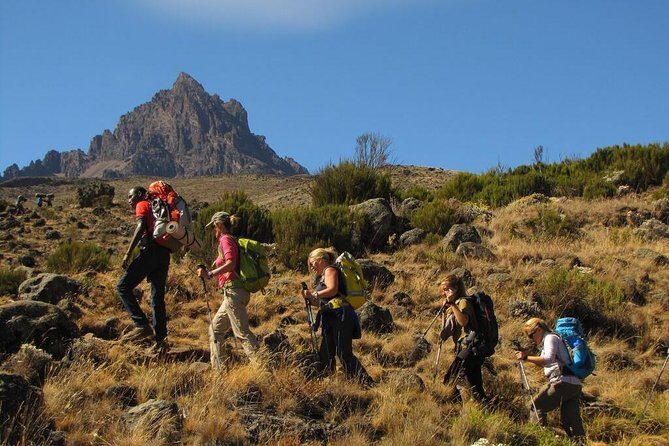 Mount Kilimanjaro Climb - Marangu Route 6 Days - The Marangu Route: What to Expect from Start to Summit