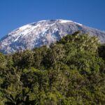 Mount Kilimanjaro Climbing in Tanzania Full-Day Trip - Practical Details and What to Expect