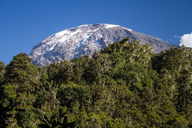 Mount Kilimanjaro Climbing in Tanzania Full-Day Trip - Practical Details and What to Expect