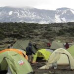 Mount Kilimanjaro climbing,7 days Lemosho Route. - What Travelers Say: A Closer Look at Authentic Experiences