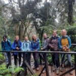 Mount Kilimanjaro Day Hike Through Marangu Route to Mandara Hut - Pricing and Overall Value