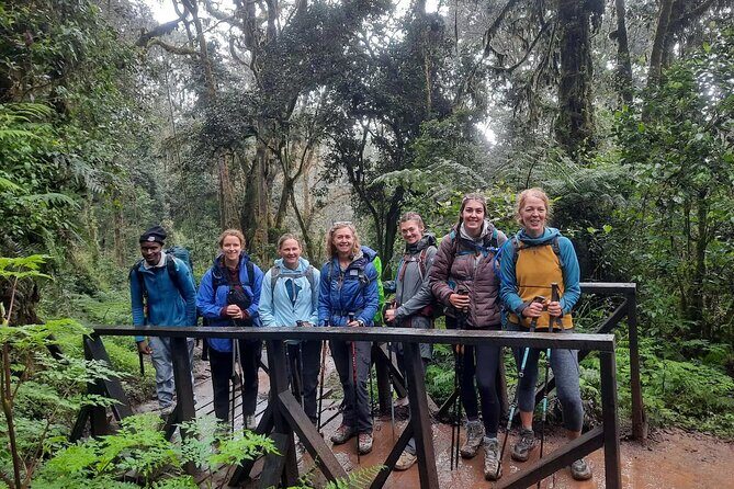 Mount Kilimanjaro Day Hike Through Marangu Route to Mandara Hut - Pricing and Overall Value