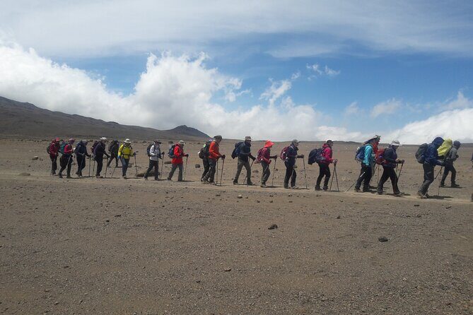 Mount Kilimanjaro Rongai Route - Transportation and Logistics