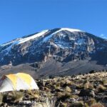 Mount Kilimanjaro Trek 7-Days: Lemosho Route - Why This Tour Offers Great Value
