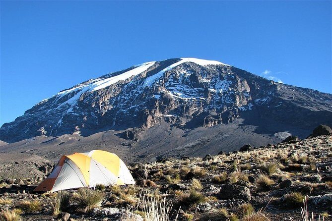 Mount Kilimanjaro Trek 7-Days: Lemosho Route - Why This Tour Offers Great Value