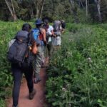 Mount Kilimanjaro via Umbwe Route 6 days Climb - What Makes This Tour Stand Out?