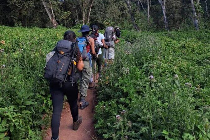 Mount Kilimanjaro via Umbwe Route 6 days Climb - What Makes This Tour Stand Out?