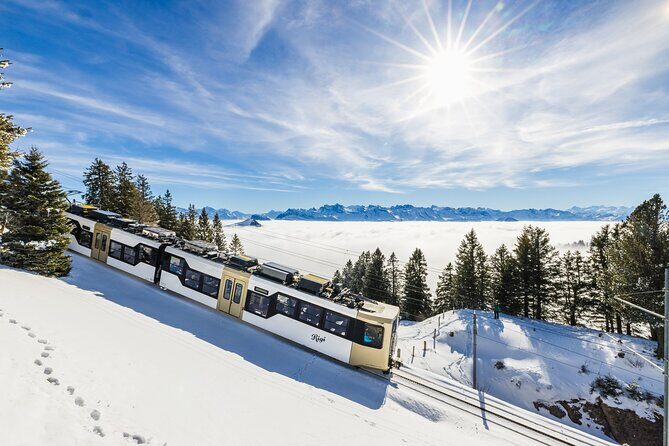 Mount Rigi Day Ticket - The Routes and Highlights
