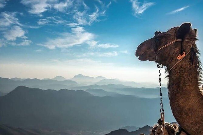 Mount Sinai Climb and Private St. Catherine Tour - Authentic Insights from Past Travelers