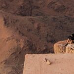 Mount Sinai & St.Catherine Monastery - Authentic Experiences and Practical Tips