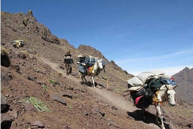 Mount Toubkal: 2-Day Climb from Marrakech - The Itinerary Breakdown