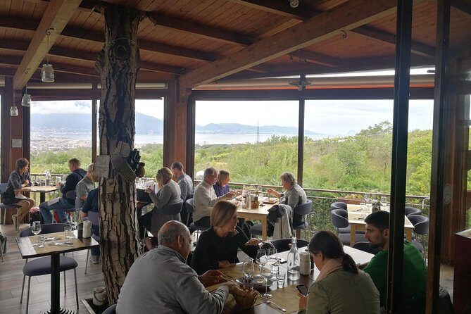 Mount Vesuvius Shore Tour, Pompeii & Winery Vesuvius Winery - Practical Details and Considerations