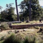 Mountain Biking Table Mountain to Constantia Morning Ride - Practical Details