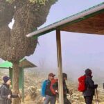 Mountain Kilimanjaro Climbing 7 Days Machame Route - What Sets This Tour Apart