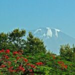 Mountain Kilimanjaro Climbing 8 Days Lemosho Route - What You Should Know Before Booking