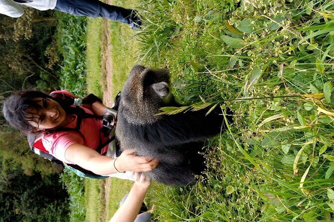 Mountain Kilimanjaro Day Hike - Transportation and Logistics