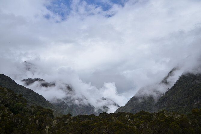 Mountain Rwenzori Trekking Uganda 9 Day Safari - The Value of the Experience