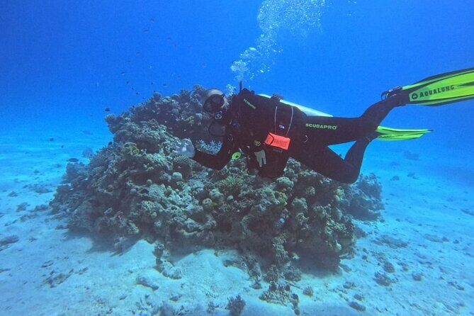 Moving Underwater 2 professional diving with lunch - The First Dive: Vibrant Coral Reefs and Colorful Fish