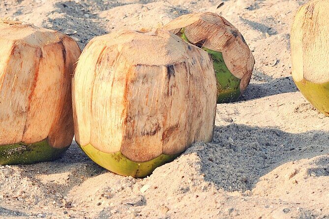 Mozambique Food and Culture Tour - An Introduction to the Maputo Food and Culture Experience