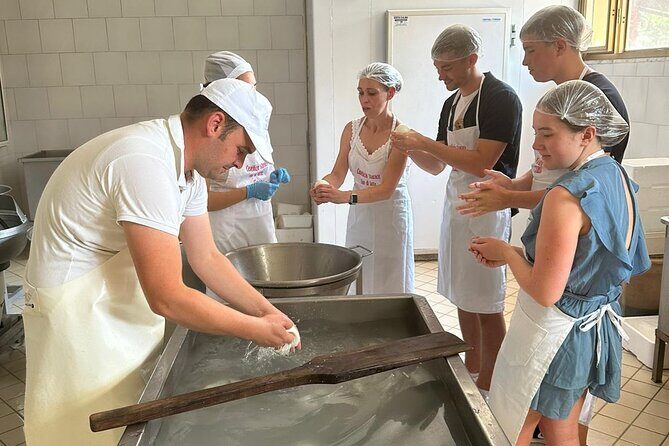 Mozzarella Experience with Tasting in Vico Equense - A Deep Dive into the Mozzarella Experience