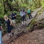 Mt Kilimanjaro Climbing; 7 Days Lemosho Route - Exploring the 7-Day Lemosho Route: An In-Depth Look