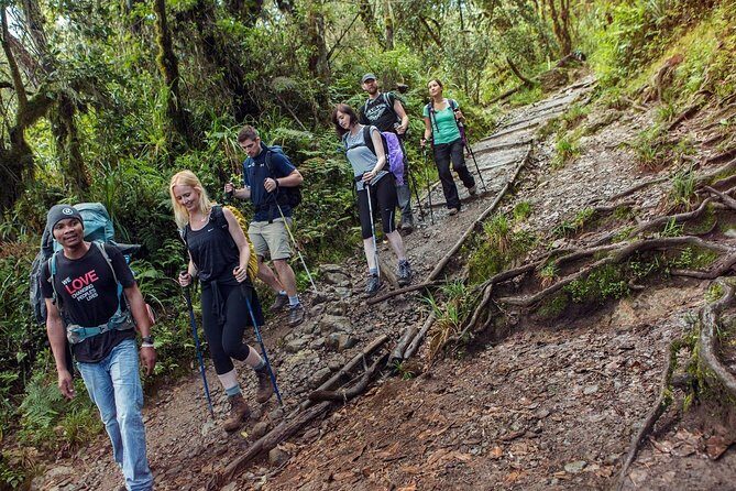 Mt Kilimanjaro Climbing; 7 Days Lemosho Route - Exploring the 7-Day Lemosho Route: An In-Depth Look