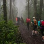 Mt Kilimanjaro Day Hike - The Sum Up