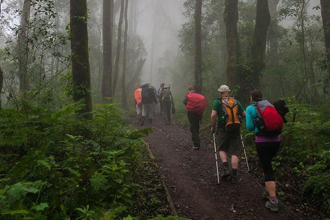 Mt Kilimanjaro Day Hike - The Sum Up