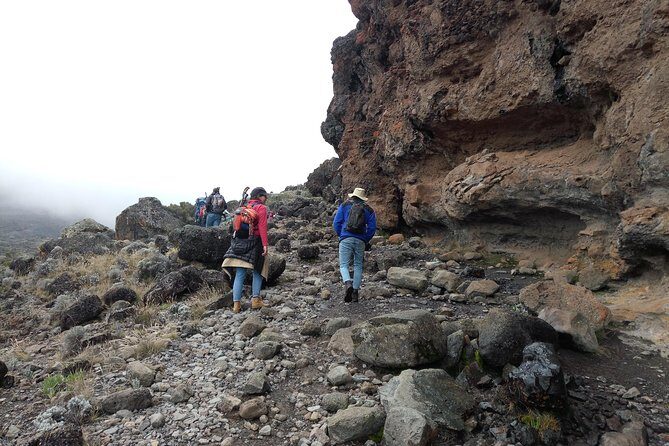 Mt. Kilimanjaro Day Hiking - Why This Tour Is a Great Choice