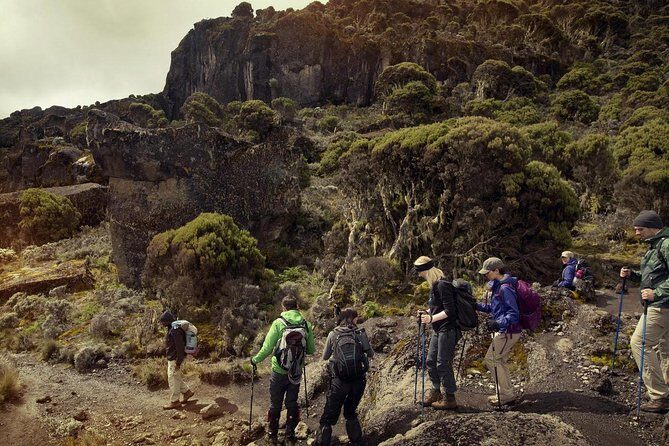 Mt.kilimanjaro-machame Route - Who Will Love This Tour?