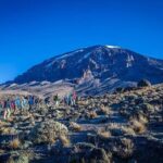 Mt Kilimanjaro Trek; Rongai Route - 6 Days - What Sets This Tour Apart?