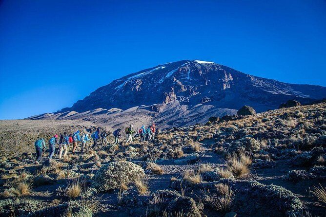 Mt Kilimanjaro Trek; Rongai Route - 6 Days - What Sets This Tour Apart?