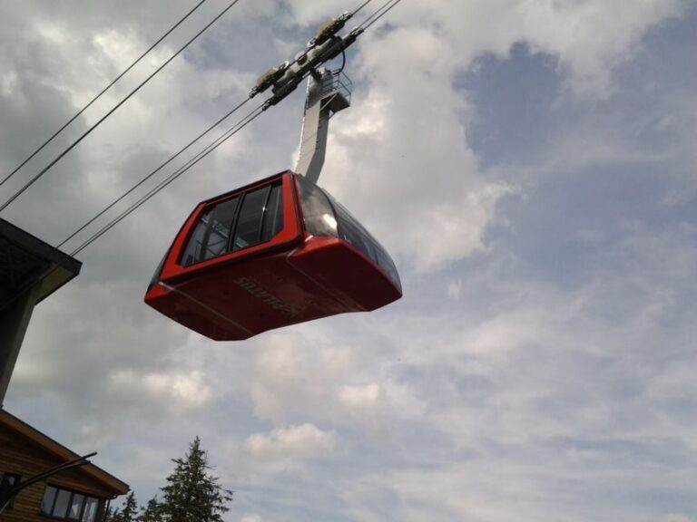 Mt. Pilatus Golden Roundtrip Private Day Trip from Basel - The Value of a Guided, Private Experience