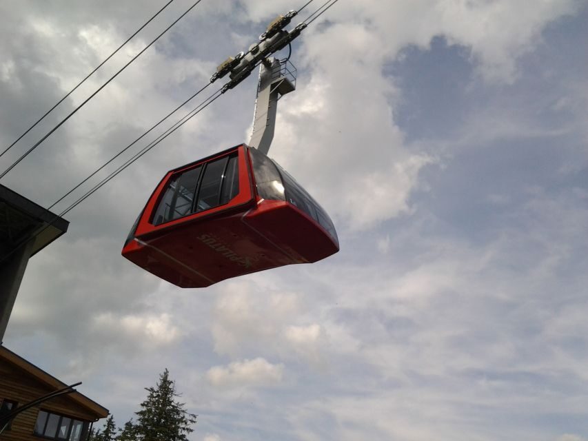 Mt. Pilatus Golden Roundtrip Private Day Trip from Basel - The Value of a Guided, Private Experience