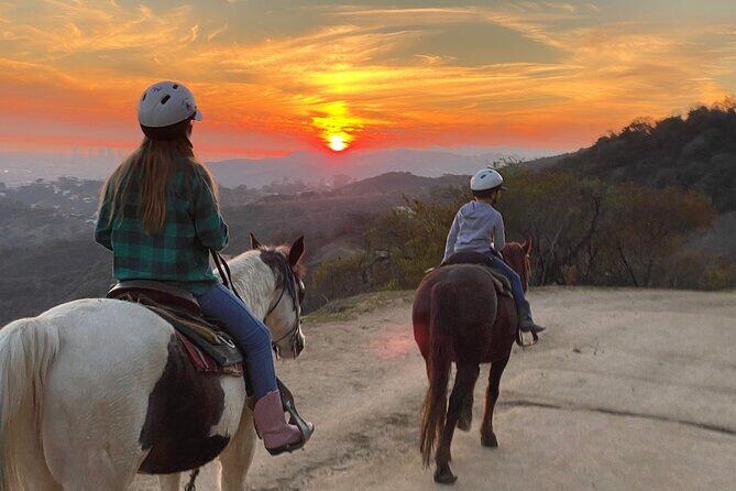 Mulholland Trail Horseback Tour - Authentic Experiences from Reviewers