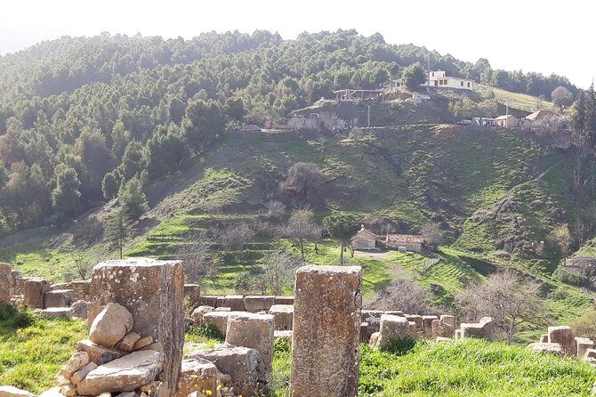 Multi Day Tour in Algeria with Certified Guide - What Makes This Tour Stand Out?